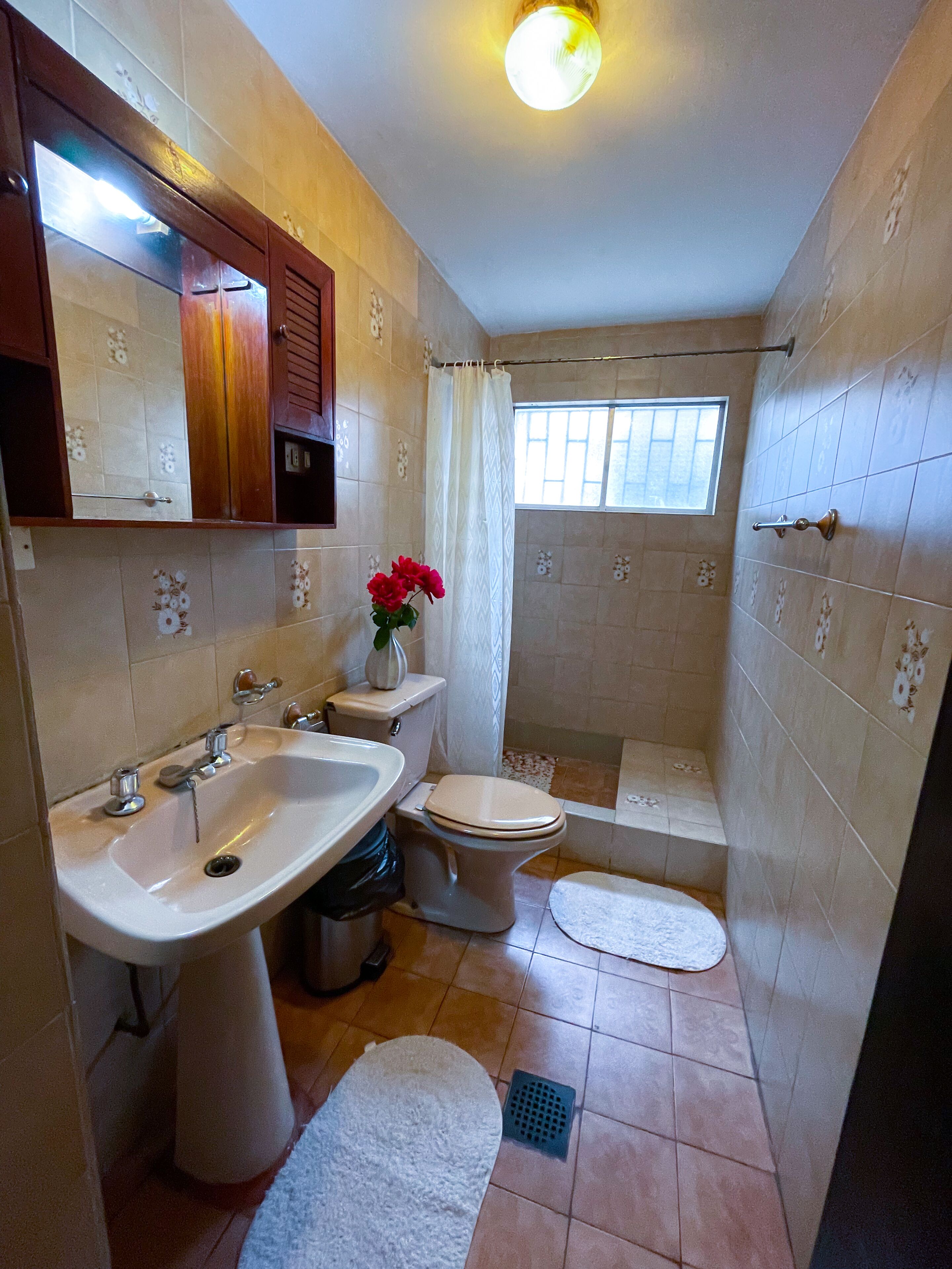 Un baño pequeño con lavamanos, inodoro y ducha.