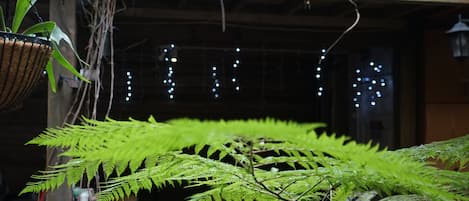 A room with hanging plants, a chair, and a table.