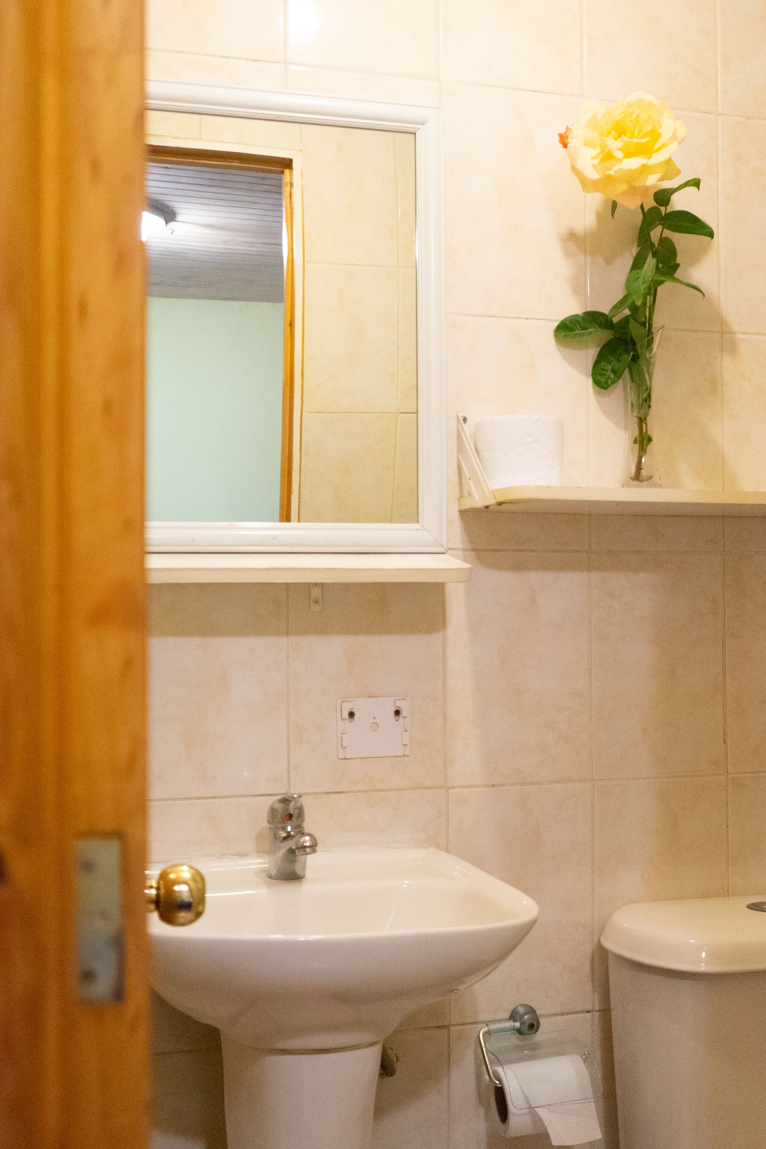 A bathroom with a sink, toilet, and a mirror.