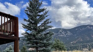 Eine Holzterrasse mit Blick auf ein Gebirge und ein Nadelbaum im Vordergrund.