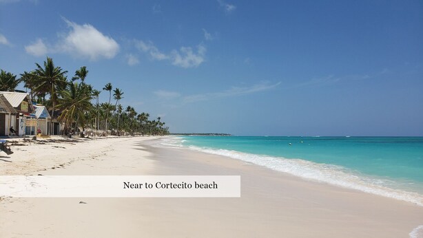 A beach with a clear sky, palm trees, and a sign for 'STINA'.