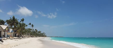 A beach with a clear sky, palm trees, and a sign for 'STINA'.