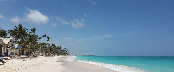 A beach with a clear sky, palm trees, and a sign for 'STINA'.