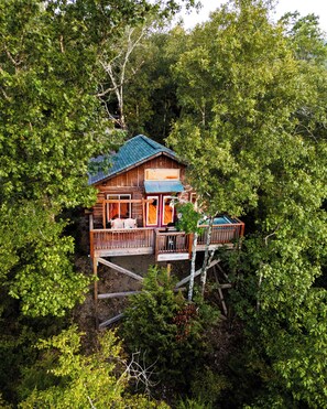 Exterior - Sunrise Point Treehouse - Starlight Haven (Hot Springs)