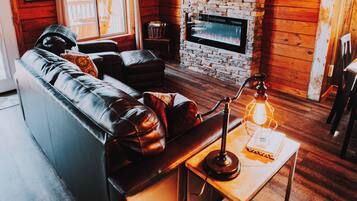 Télévision, cheminée, livres, chaîne hi-fi