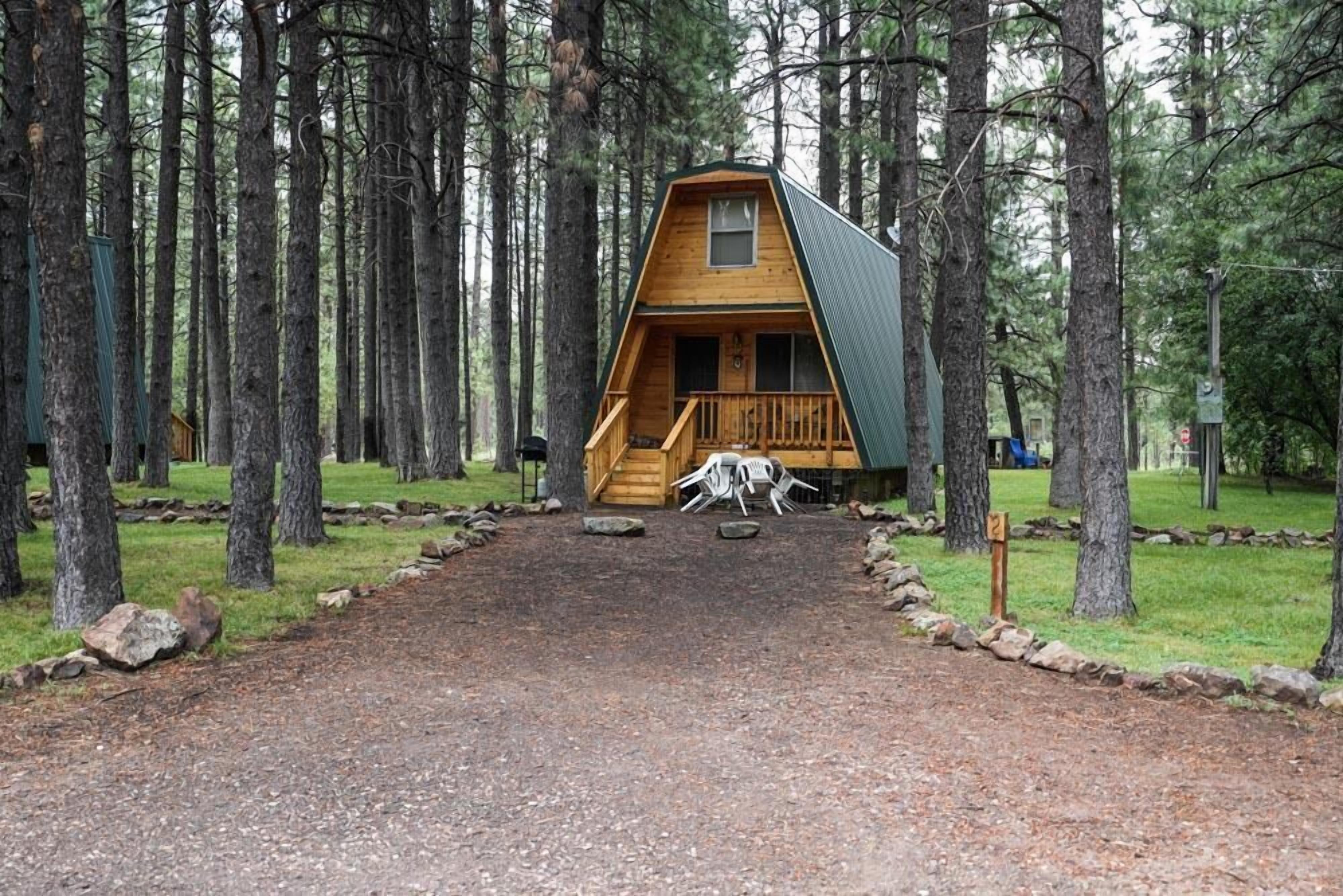 ★Cozy Forest Cabin w/Firepit/Grill/Trails/Fishing★