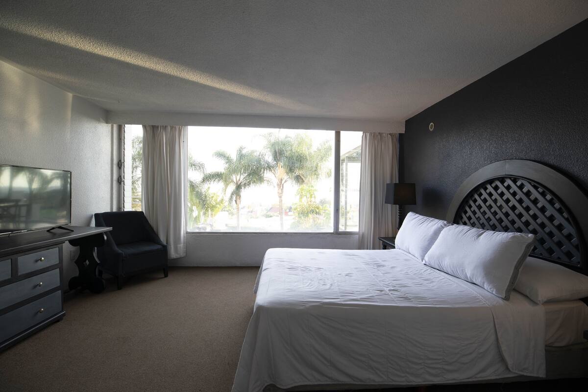 A hotel room with a bed, a desk, a chair, a TV, and a large window with a view of palm trees.