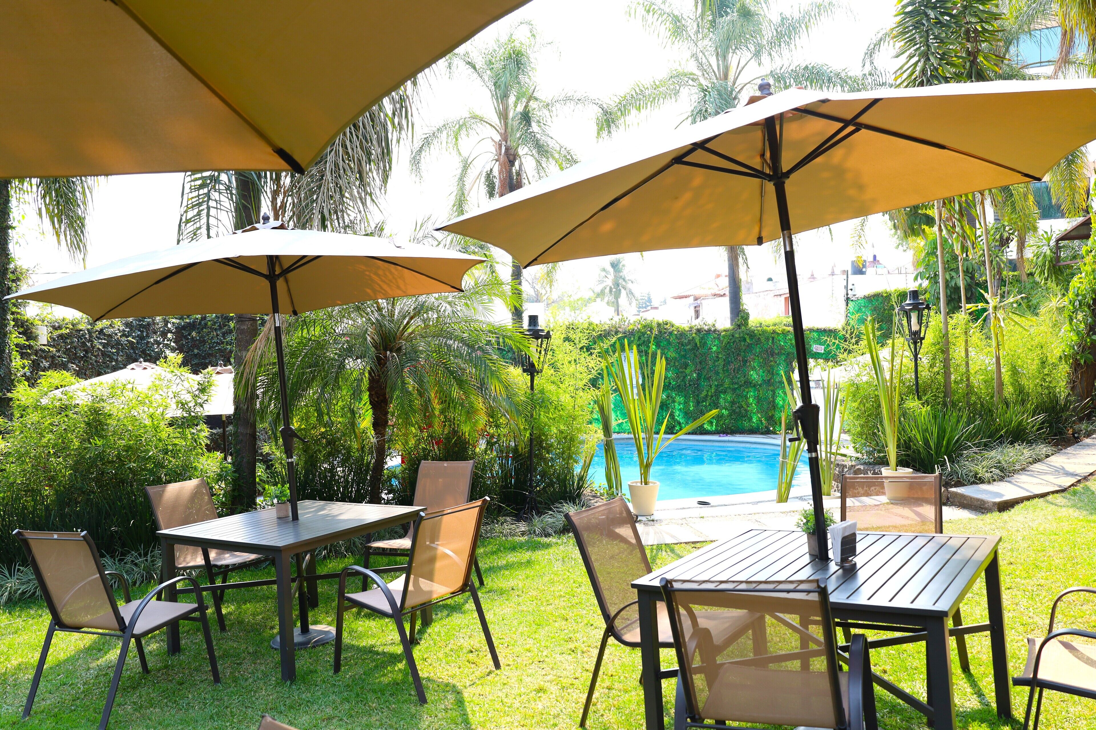 Un área de patio al aire libre con mesas y sillas bajo sombrillas grandes, una piscina y abundante follaje.