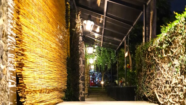 A staircase leading to a covered area with a metal roof, surrounded by greenery and stone walls. - Hotel Grand Vista Cuernavaca (Cuernavaca)