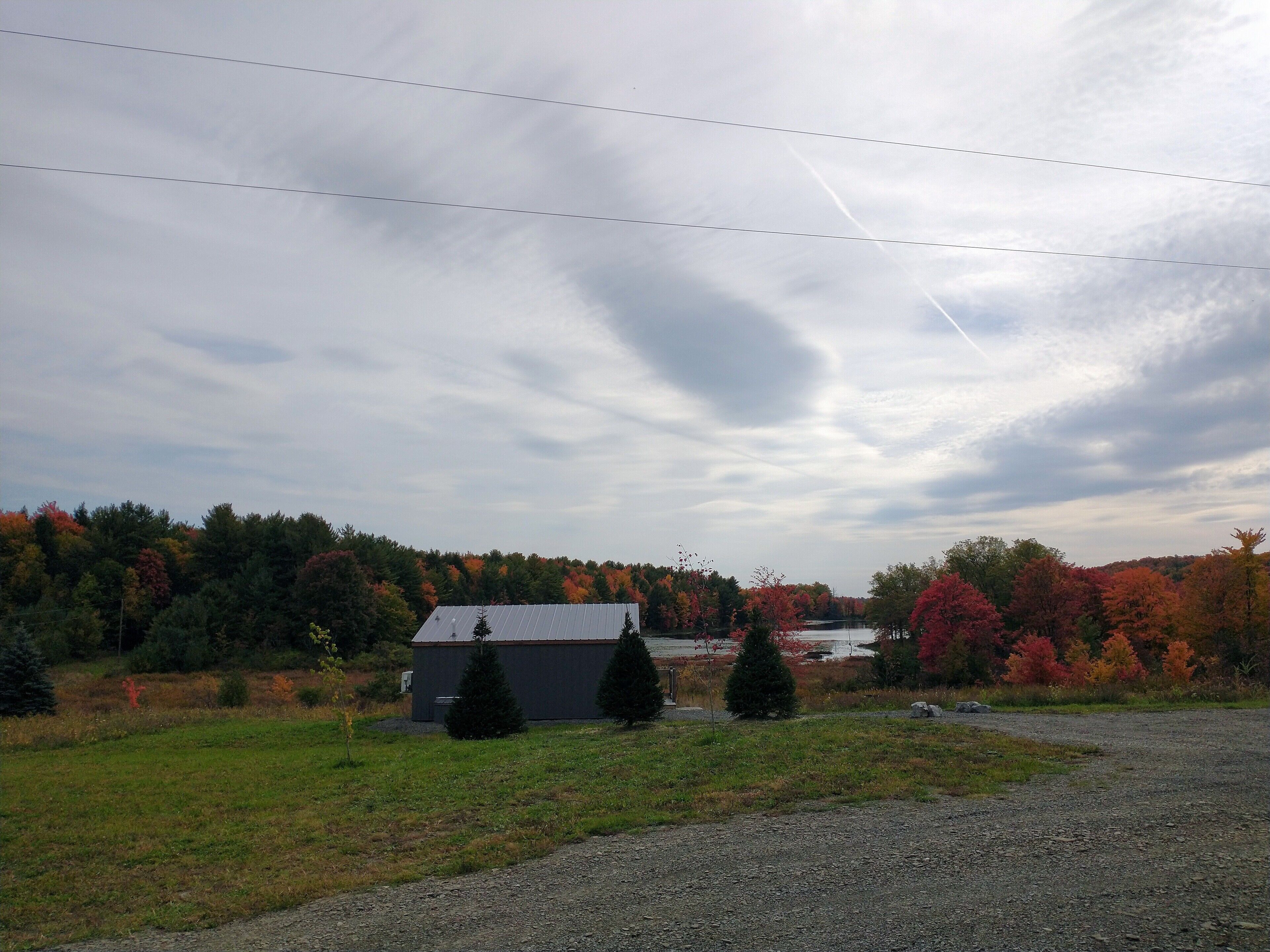A rural landscape with a gravel road, a small building with a metal roof, and a forest with autumn foliage.