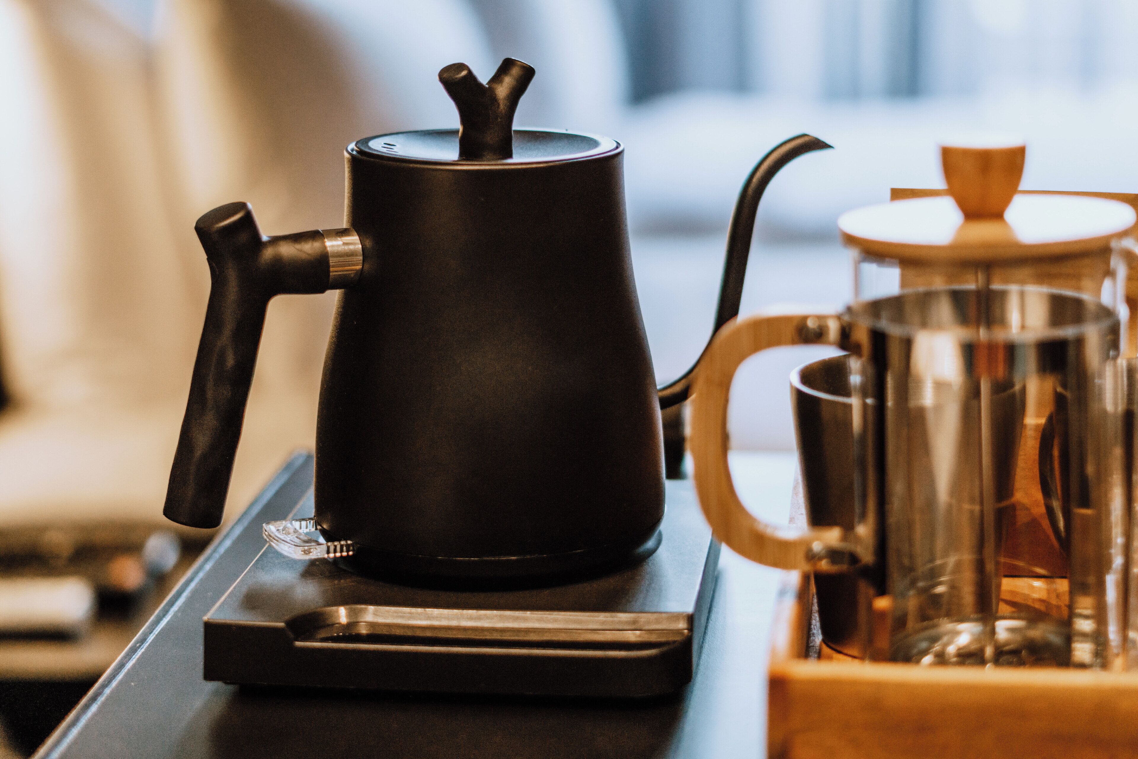 Photo - The Funny Lion - El Nido