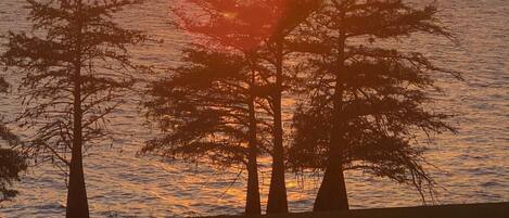 Terrain de lâhĂ©bergement