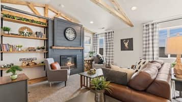 Smart TV, fireplace, books