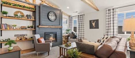 Smart TV, fireplace, books