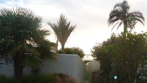 A pathway leading to a building with a white facade, surrounded by palm trees and other greenery. - A Fantastic Location
"Just a short walk down the footpath opposite to the Beach" (Snells Beach)