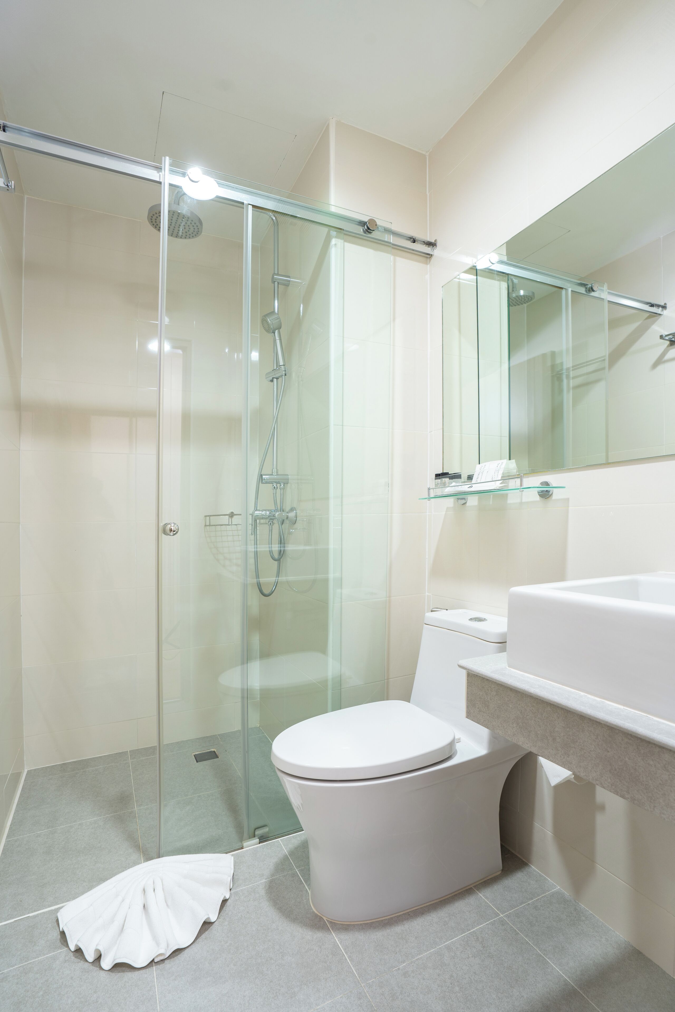 A modern bathroom with a glass shower enclosure, a white toilet, and a large mirror above the sink.