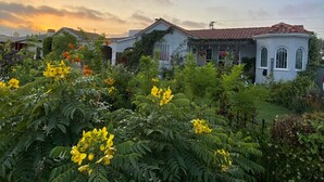 A residential area with a house featuring a tiled roof and a garden with yellow flowering plants.