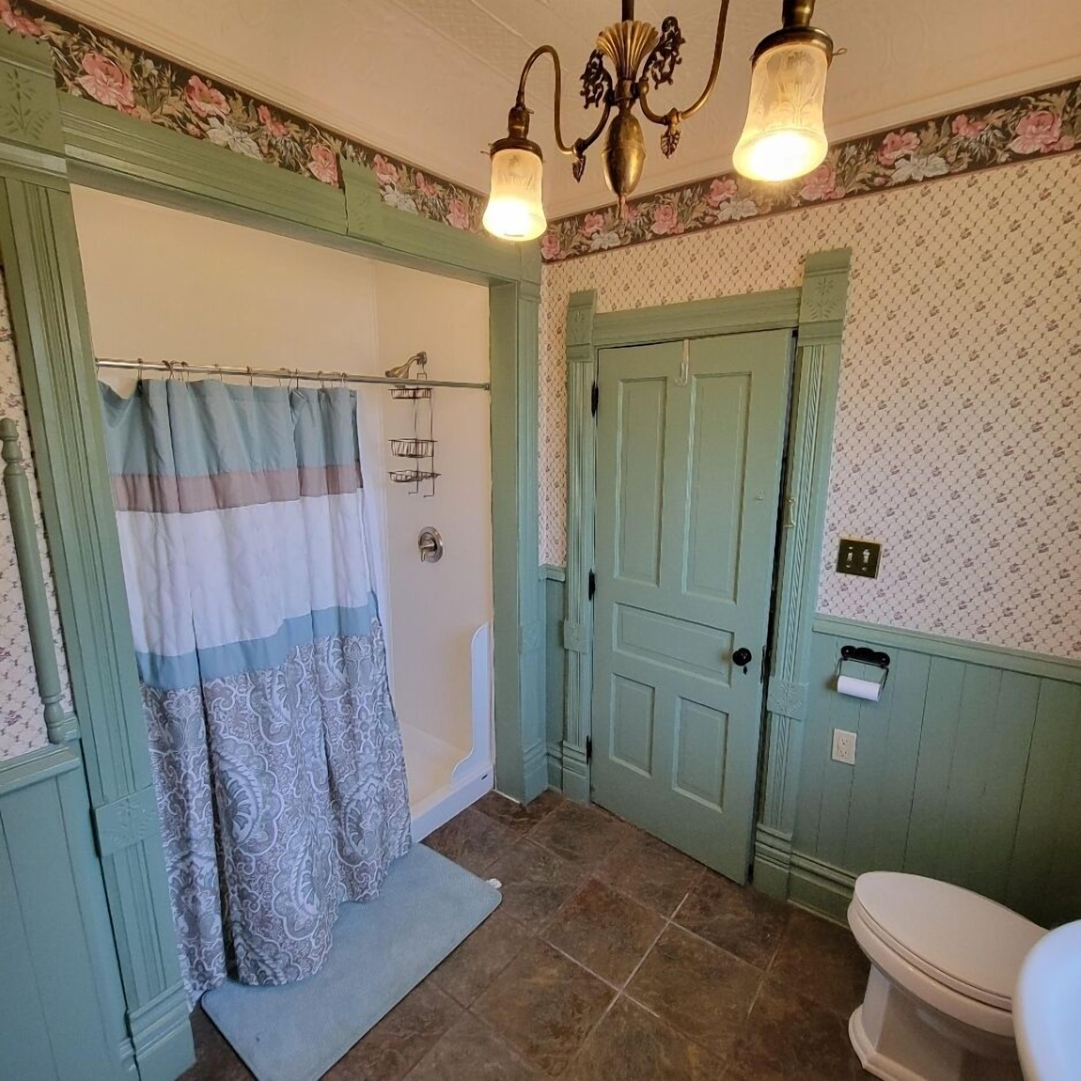 A bathroom with a shower curtain, a door, a toilet, and a patterned wall.