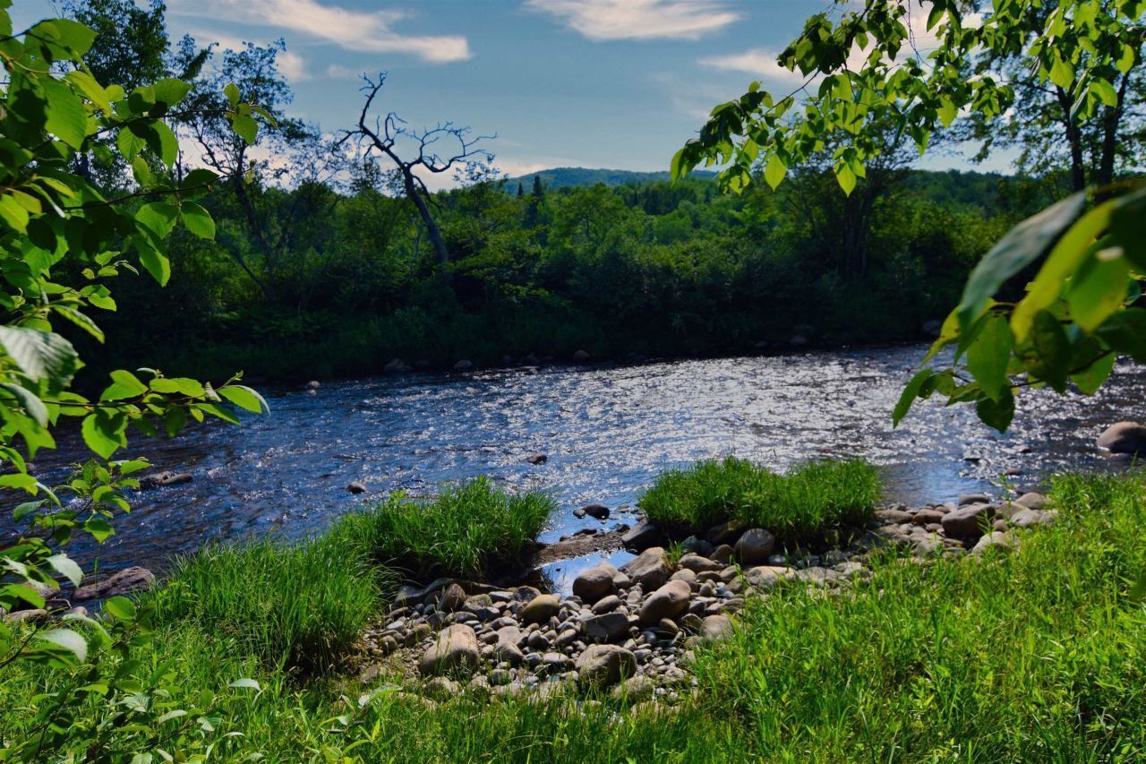 Une rivière bordée de rochers et de végétation, entourée d’arbres.