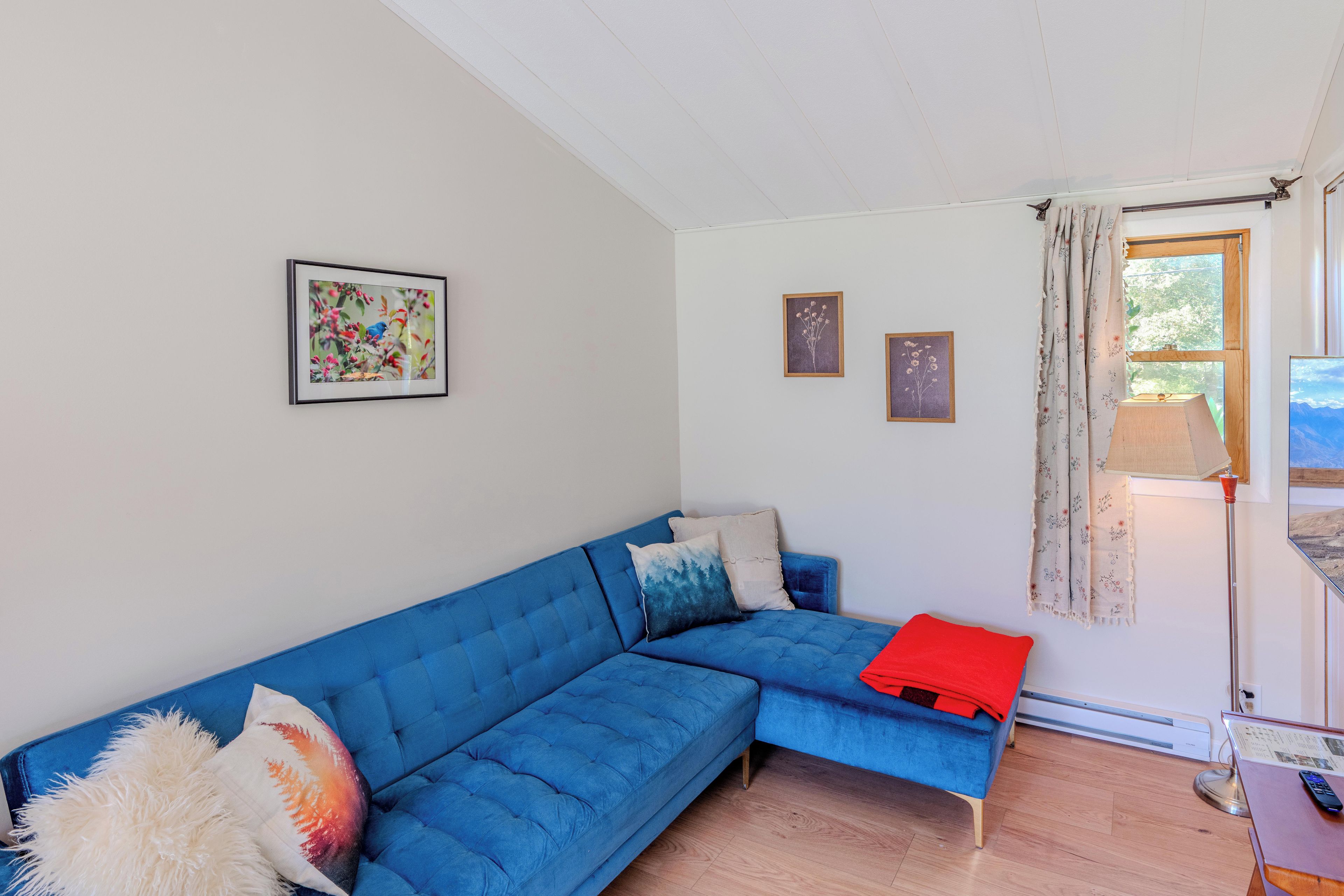 A living room with a blue sofa, two framed pictures, a window with curtains, and a lamp.