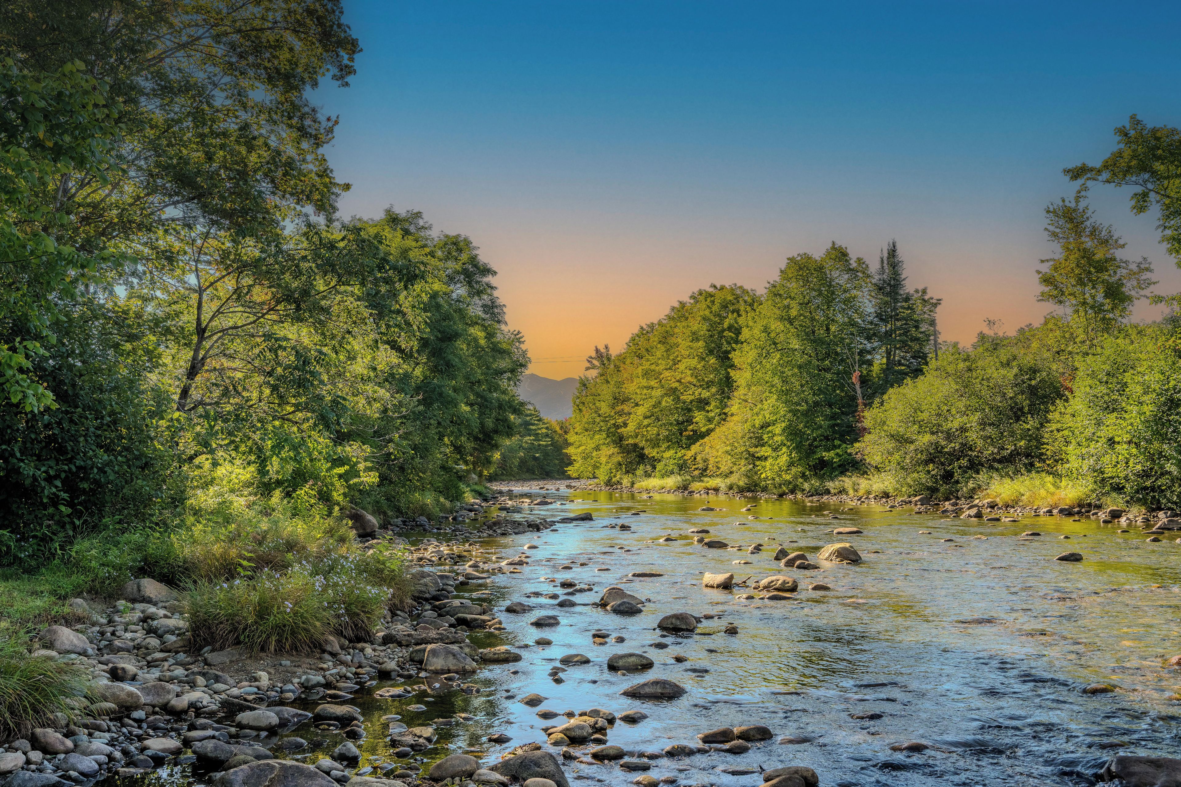 A river with rocks and trees on the banks.