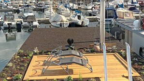 En småbåtshamn med förtöjda båtar, en träbrygga med en metallstege och utsikt över det omgivande landskapet.