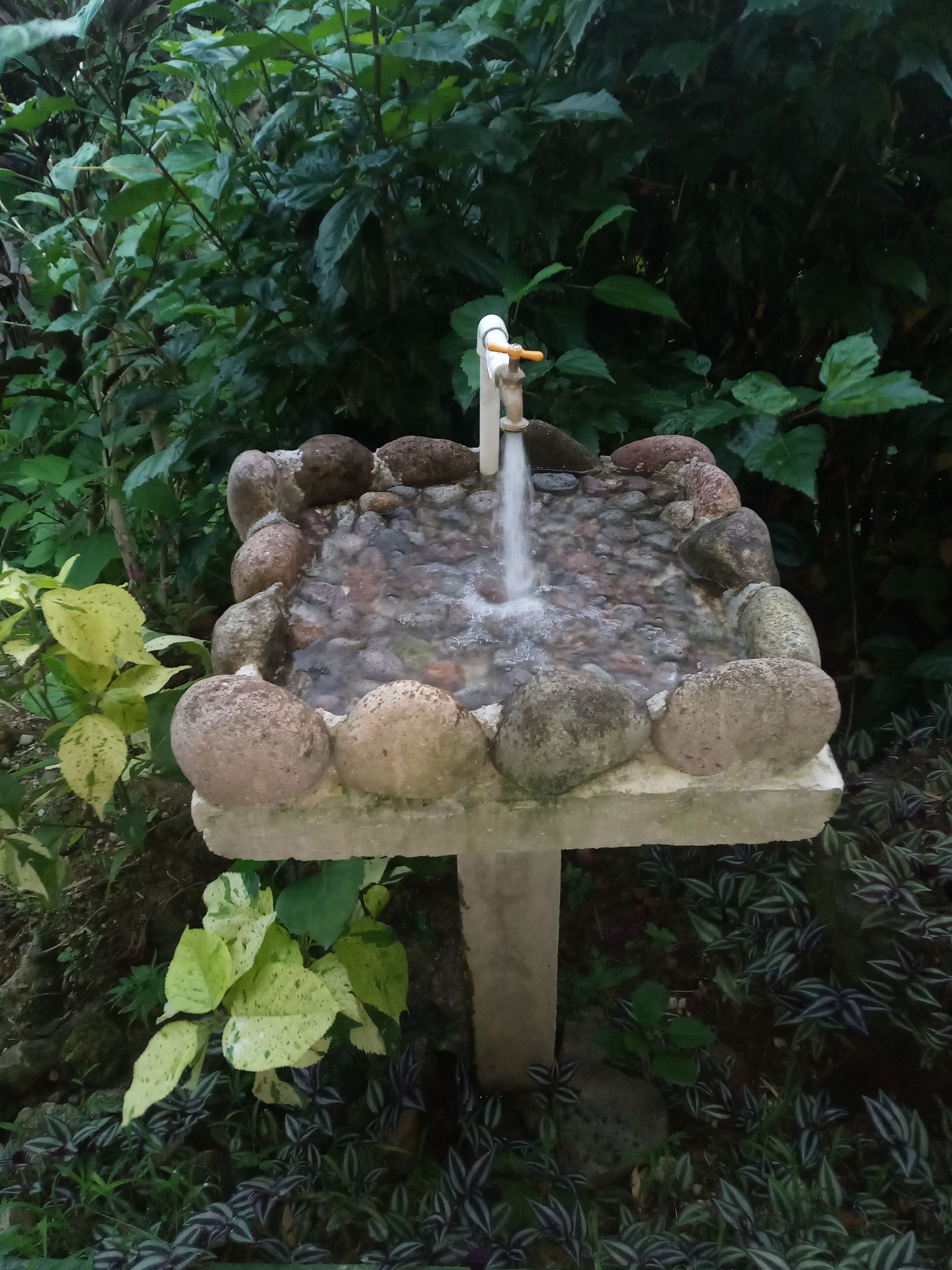 Ein Steinsbrunnen mit Wasser, das aus einem Auslauf fließt, umgeben von Steinen und Pflanzen.