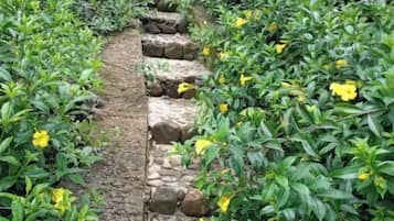 Winding garden pathway leads through lush greenery and vibrant flowers.