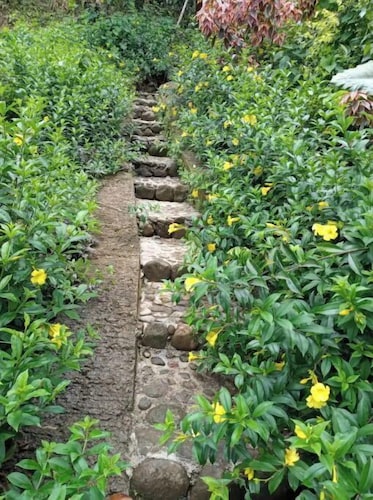 Berkey's Jungle Paradise