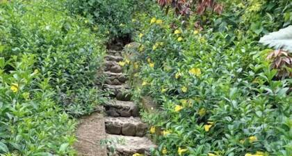 Berkey's Jungle Paradise