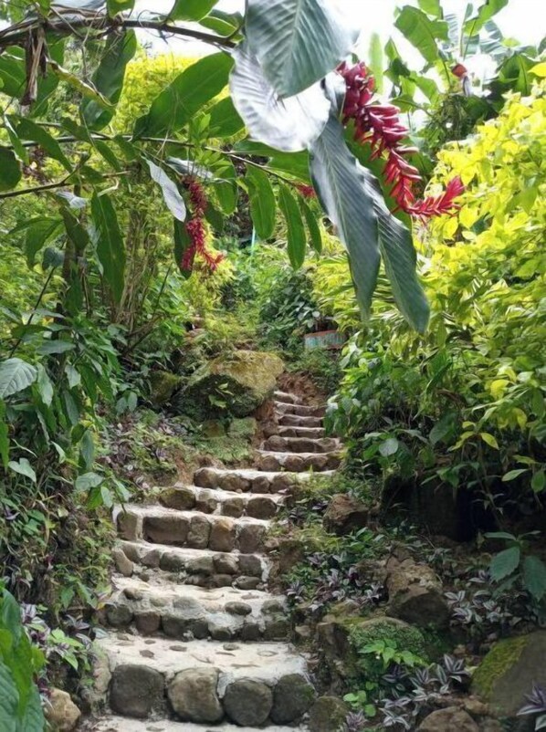 Jardines del alojamiento