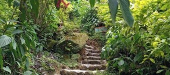 Berkey's Jungle Paradise