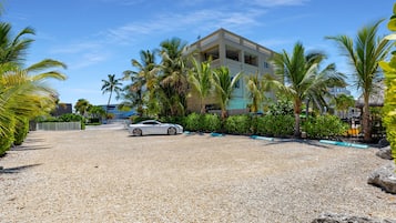 A building with a white car parked in front, surrounded by palm trees and gravel.