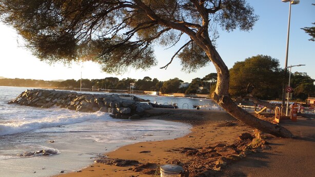 A beach with a rocky shoreline, a tree, and a street lamp.