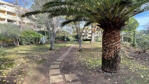 A pathway leading through a garden with palm trees and a building in the background.