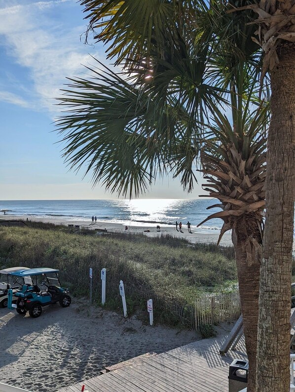 Beach nearby, sun loungers