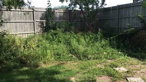 Un patio trasero con cerca de madera, vegetación exuberante y un muro de ladrillo.
