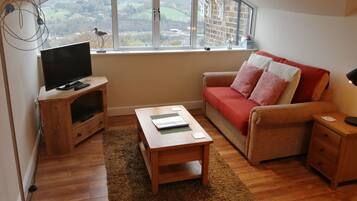 Smart TV, DVD player, books