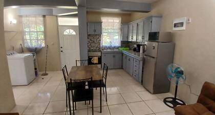 Cozy Vacation Retreat APT 2 with WiFi, AC in enchanting Roseau Valley