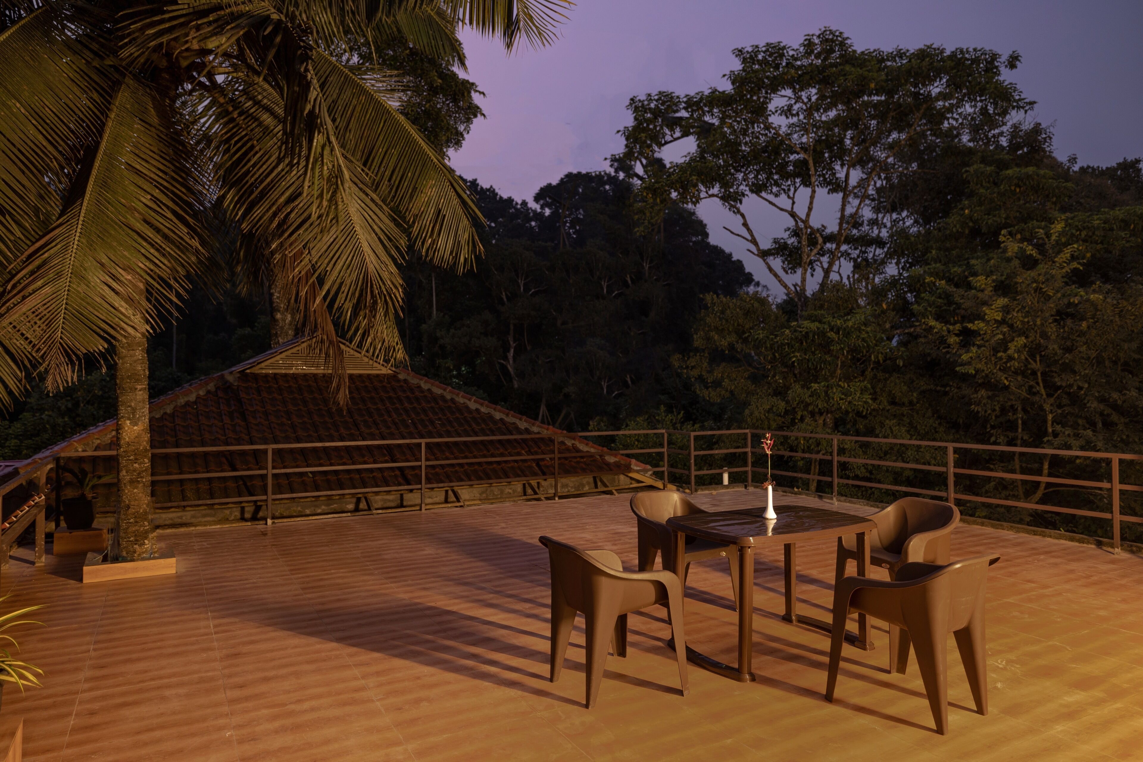 Une terrasse extérieure avec une table et des chaises, entourée de palmiers et offrant une vue sur la forêt.