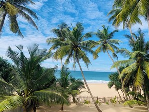 Plage, chaises longues, serviettes de plage
