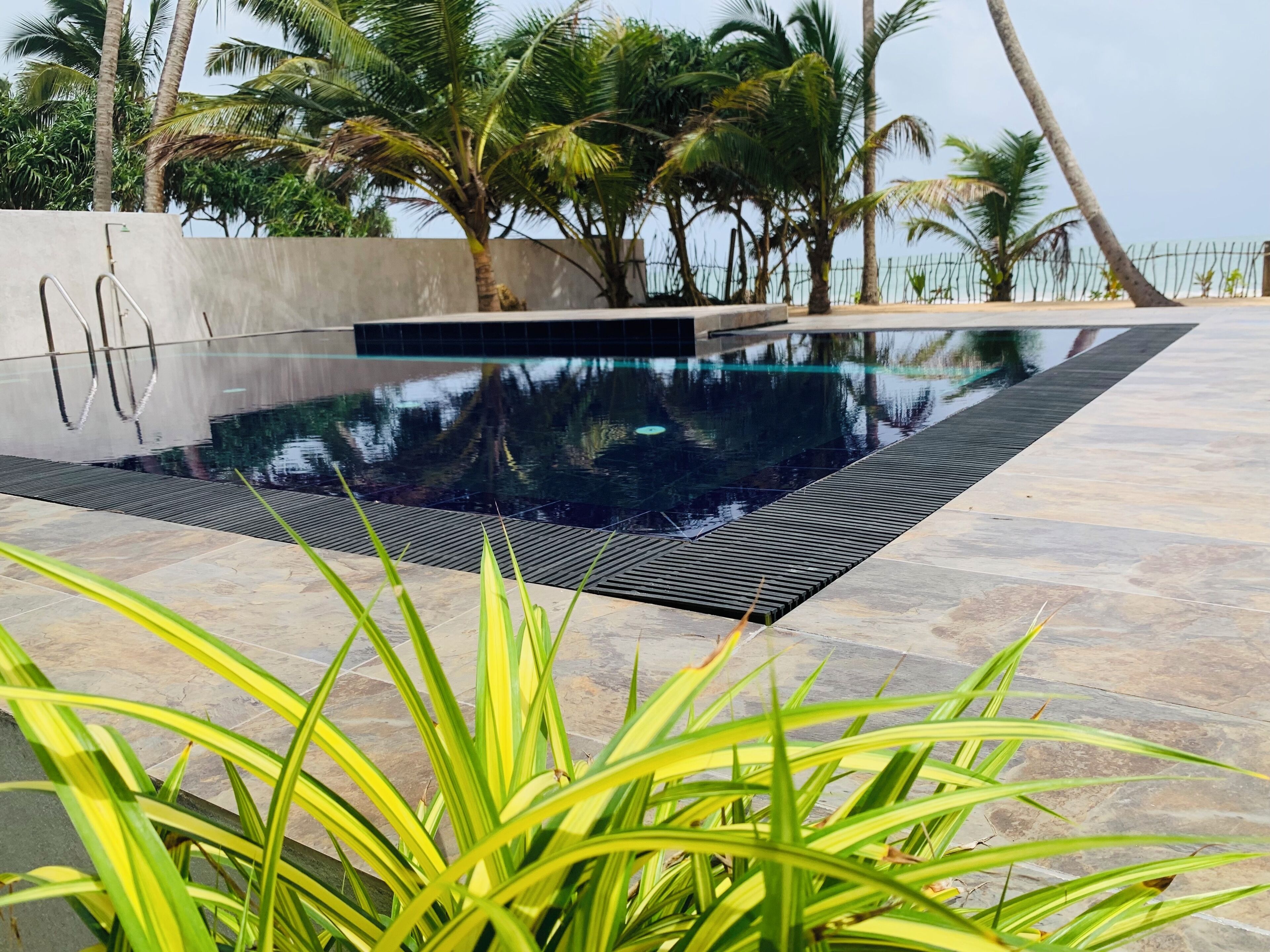 Una piscina con plataforma de baldosas, rodeada de palmeras y un muro de concreto.