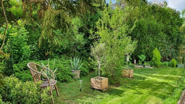 A lush garden with a wooden chair, potted plants, and a well-maintained lawn. - Meublé de tourisme classé 3* 35 m2 + terrasse. 2 pers, countryside VEXIN FRANçAIS (Guernes)