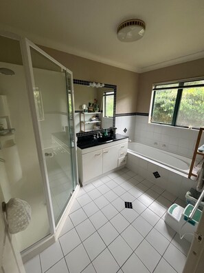 Bathtub, hair dryer, soap, toilet paper