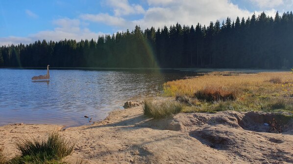 Beach - Idyllic accommodation on the mountain, active geocaching and exploring regional highlights. (Muldenhammer)