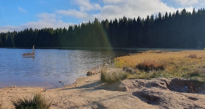 House in mountain location: sauna, forest view & forest lake/Muldenhammer near Klingenthal/Vogtland