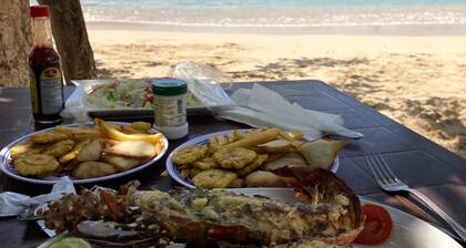 ModernitĂ© au cĆur de la nature, confort et calme - La Dichosa