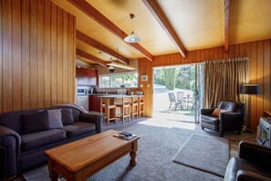 Televisor intel·ligent, llar de foc, reproductor de DVD i llibres 