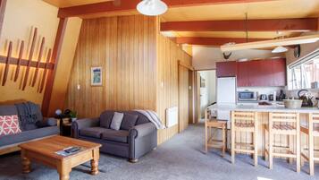 Smart TV, fireplace, DVD player, books