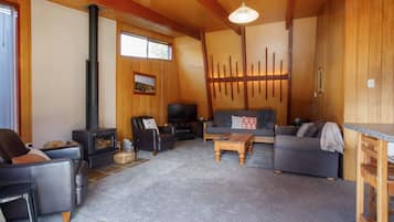 Smart TV, fireplace, DVD player, books
